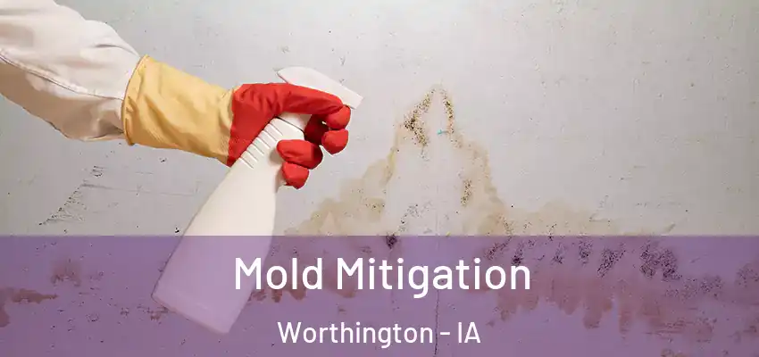 Mold Mitigation Worthington - IA