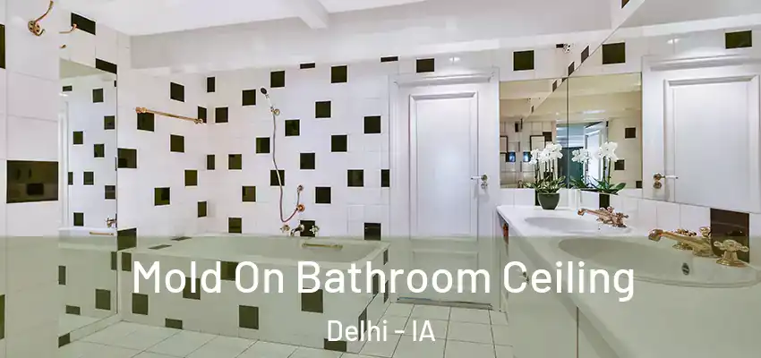  Mold On Bathroom Ceiling Delhi - IA