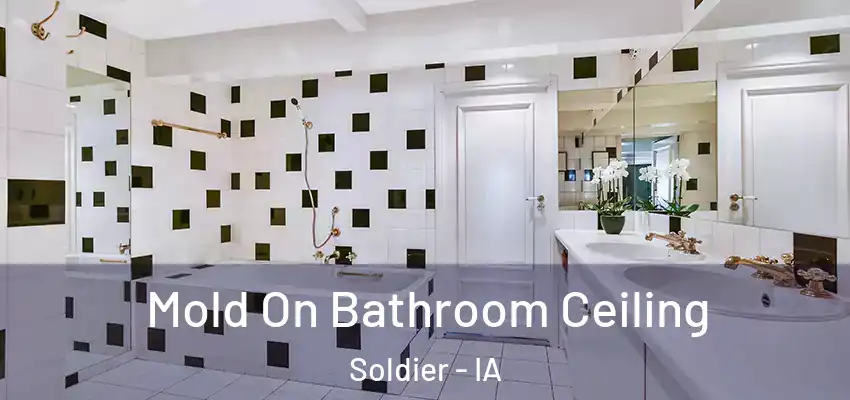 Mold On Bathroom Ceiling Soldier - IA
