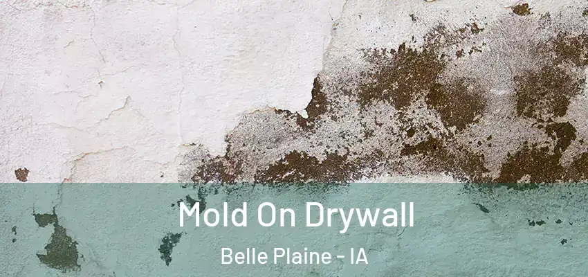Mold On Drywall Belle Plaine - IA