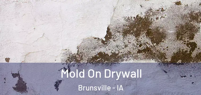 Mold On Drywall Brunsville - IA