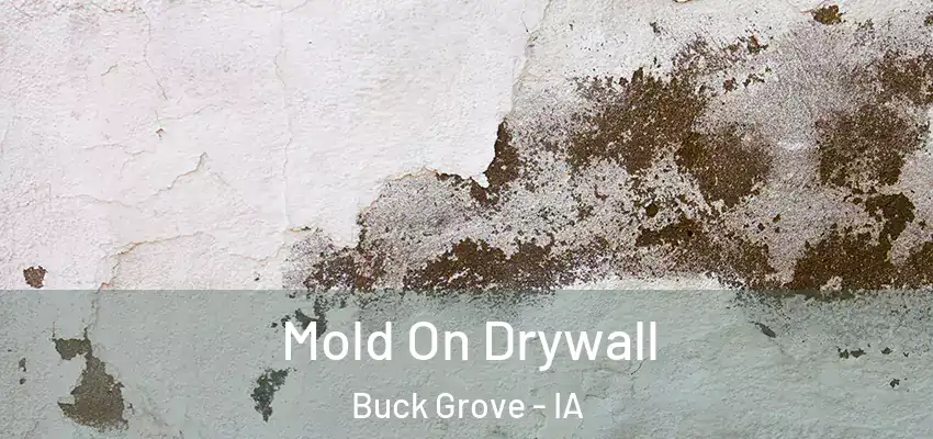  Mold On Drywall Buck Grove - IA