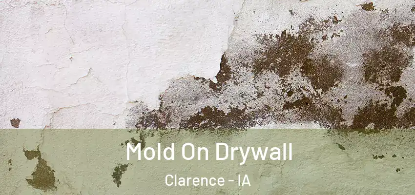 Mold On Drywall Clarence - IA