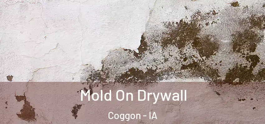Mold On Drywall Coggon - IA