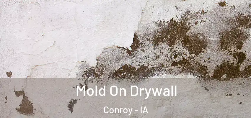  Mold On Drywall Conroy - IA