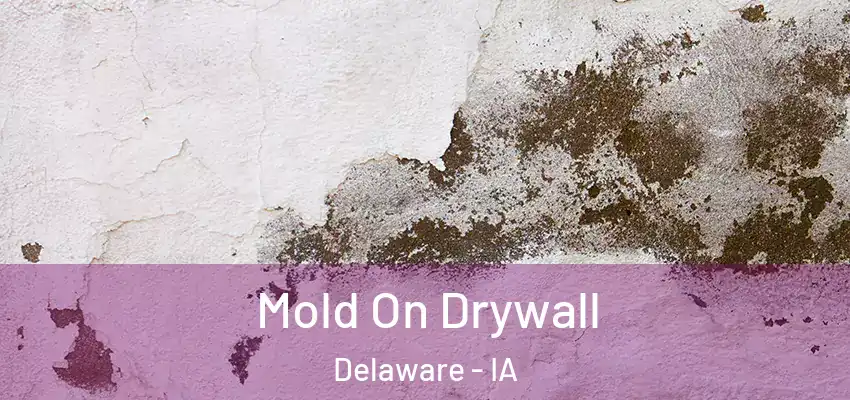  Mold On Drywall Delaware - IA
