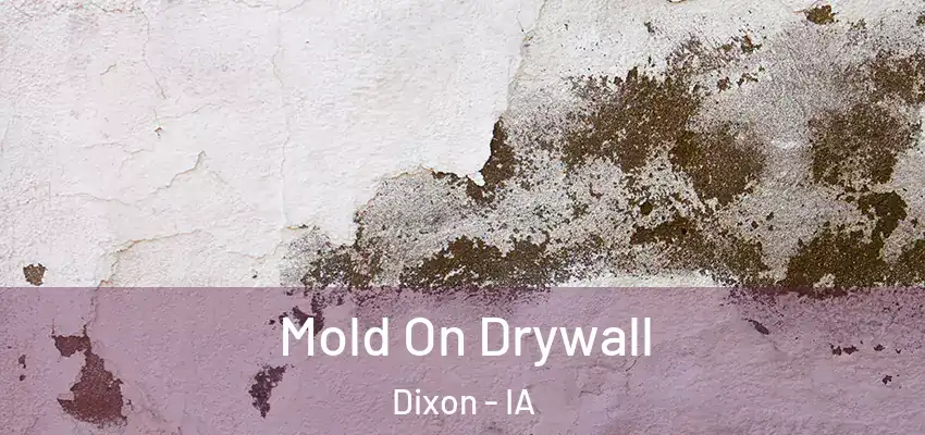 Mold On Drywall Dixon - IA