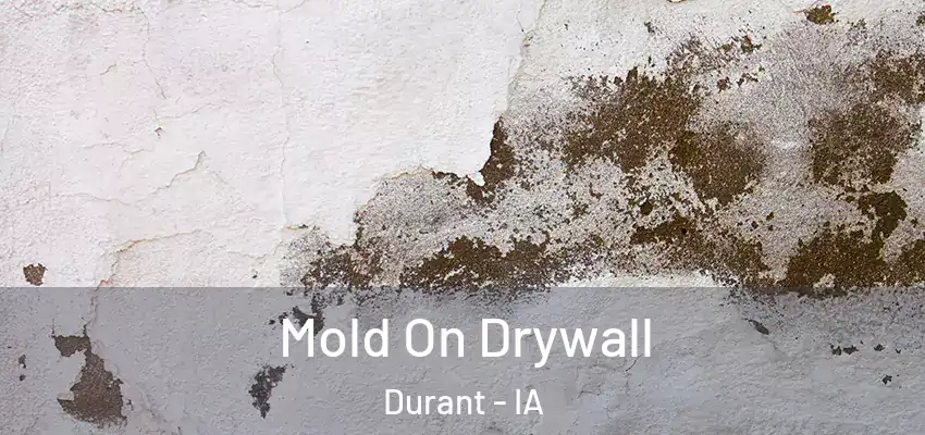  Mold On Drywall Durant - IA