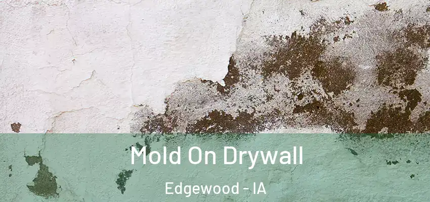  Mold On Drywall Edgewood - IA