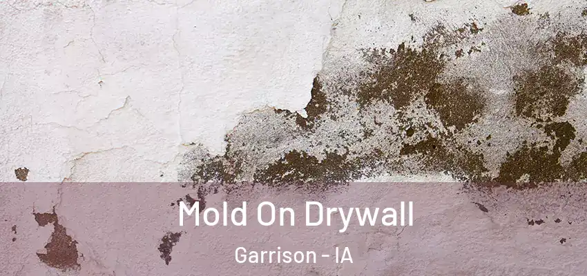 Mold On Drywall Garrison - IA