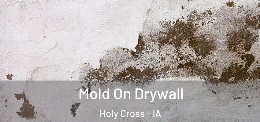  Mold On Drywall Holy Cross - IA