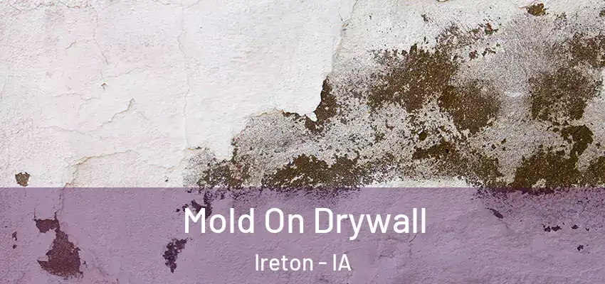 Mold On Drywall Ireton - IA