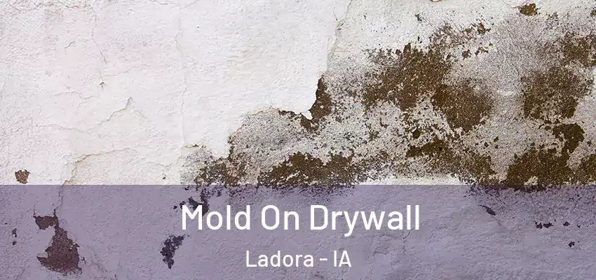 Mold On Drywall Ladora - IA