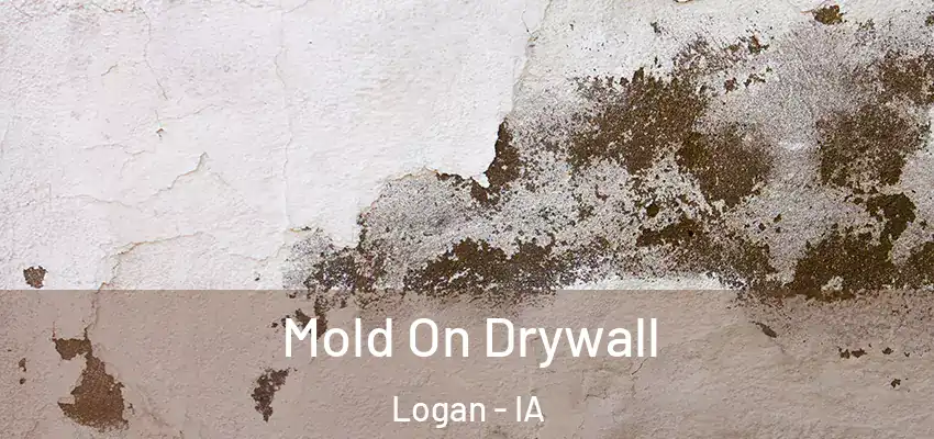 Mold On Drywall Logan - IA