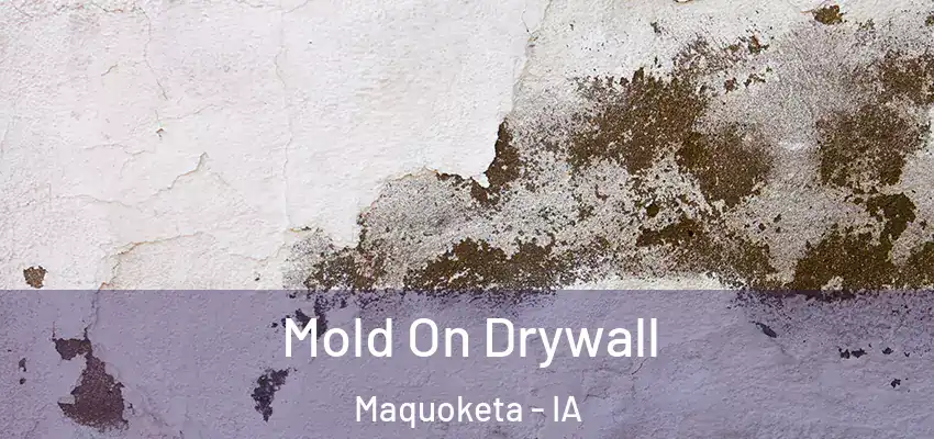 Mold On Drywall Maquoketa - IA