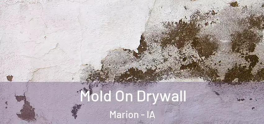  Mold On Drywall Marion - IA