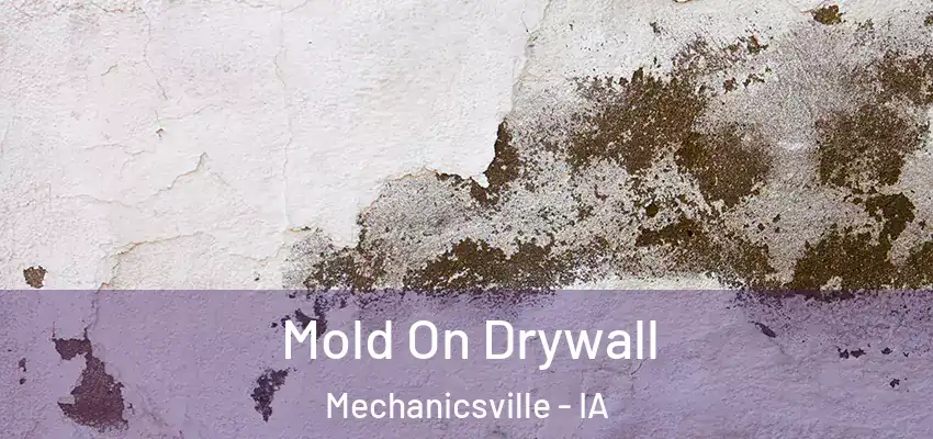  Mold On Drywall Mechanicsville - IA
