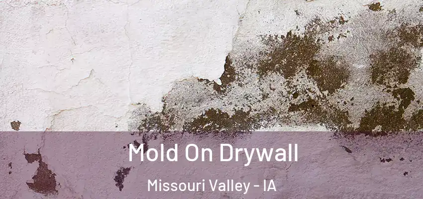 Mold On Drywall Missouri Valley - IA