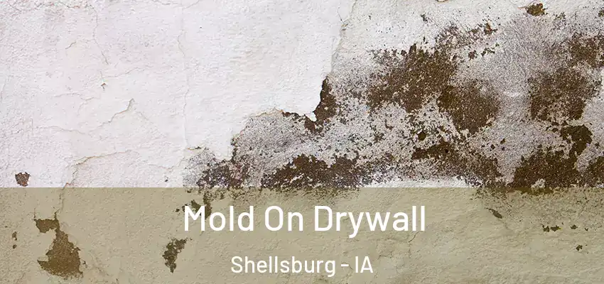 Mold On Drywall Shellsburg - IA