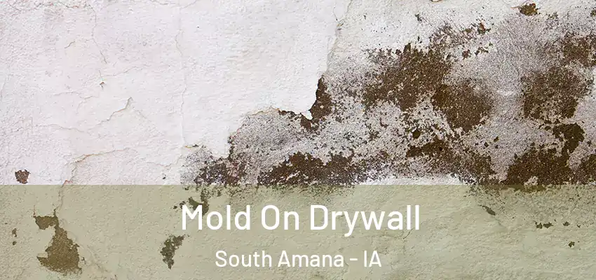  Mold On Drywall South Amana - IA