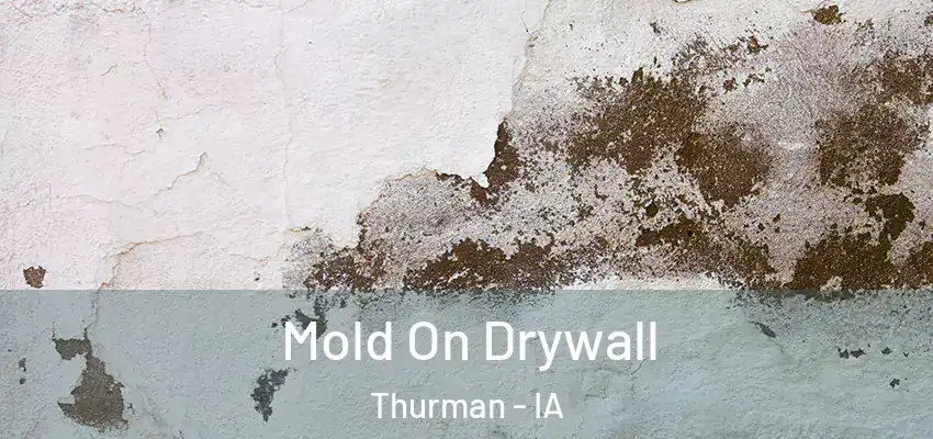 Mold On Drywall Thurman - IA