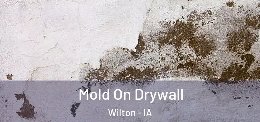  Mold On Drywall Wilton - IA