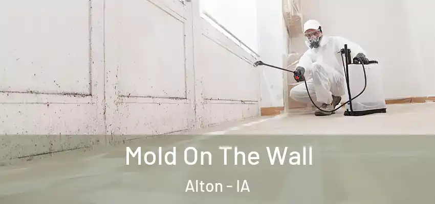  Mold On The Wall Alton - IA