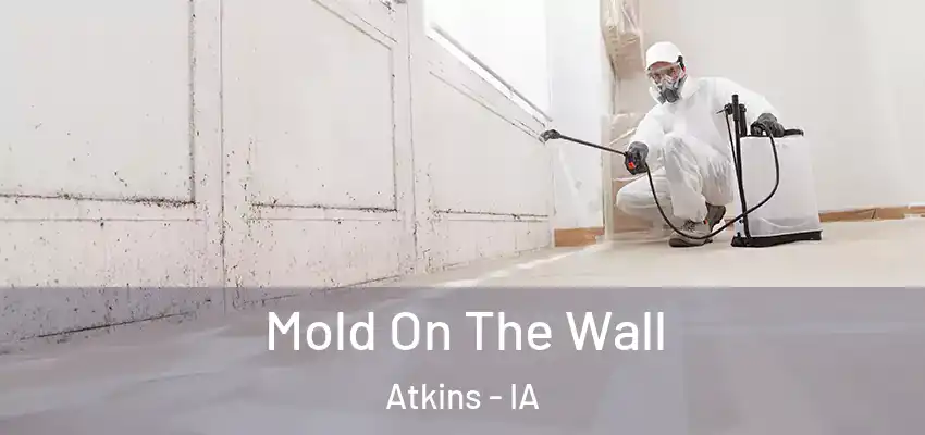  Mold On The Wall Atkins - IA
