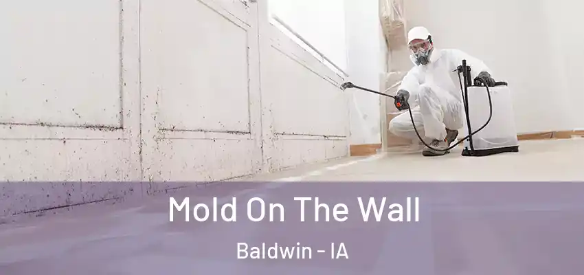  Mold On The Wall Baldwin - IA