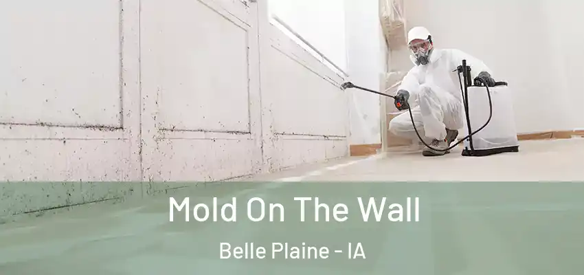  Mold On The Wall Belle Plaine - IA