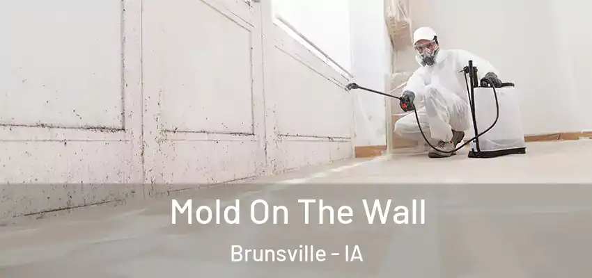Mold On The Wall Brunsville - IA