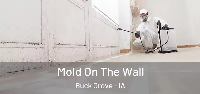  Mold On The Wall Buck Grove - IA