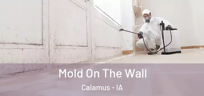 Mold On The Wall Calamus - IA