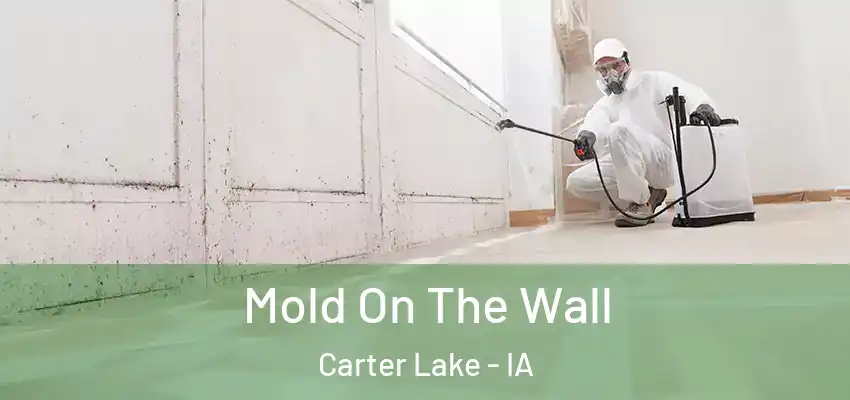  Mold On The Wall Carter Lake - IA