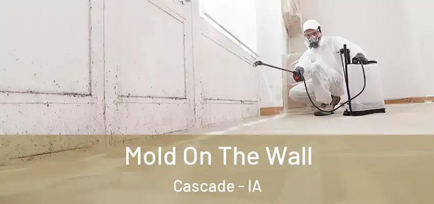  Mold On The Wall Cascade - IA