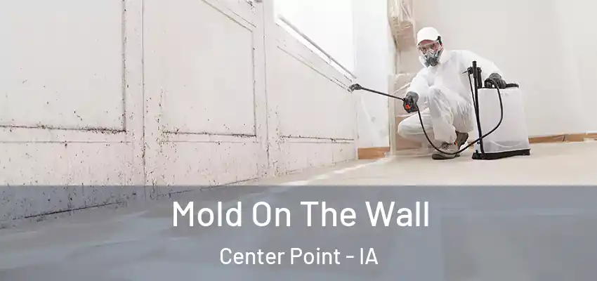  Mold On The Wall Center Point - IA