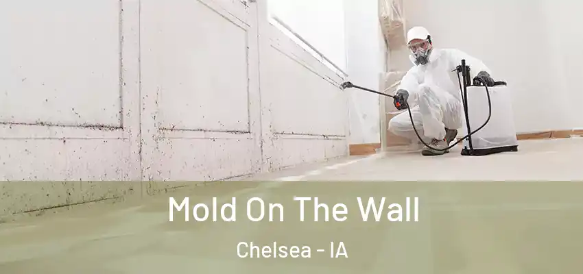  Mold On The Wall Chelsea - IA