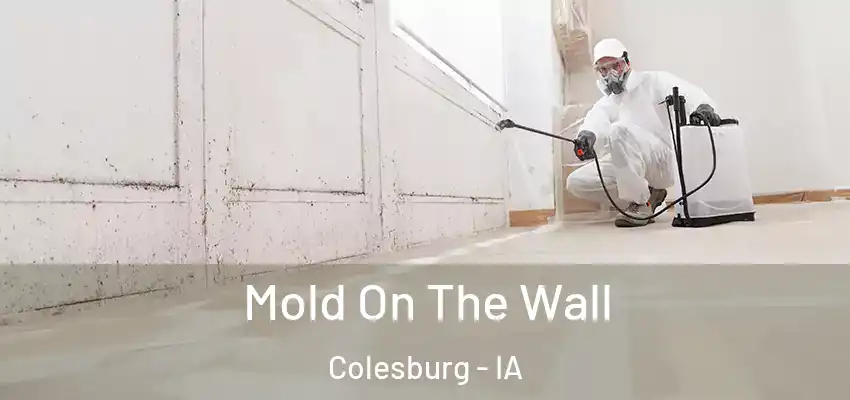 Mold On The Wall Colesburg - IA