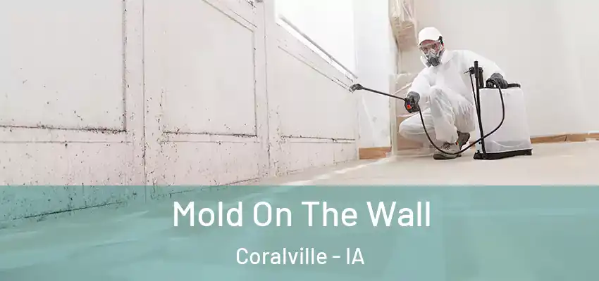  Mold On The Wall Coralville - IA