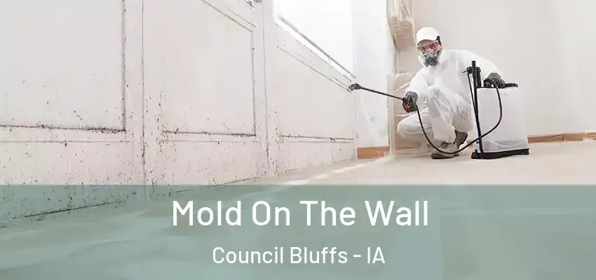  Mold On The Wall Council Bluffs - IA