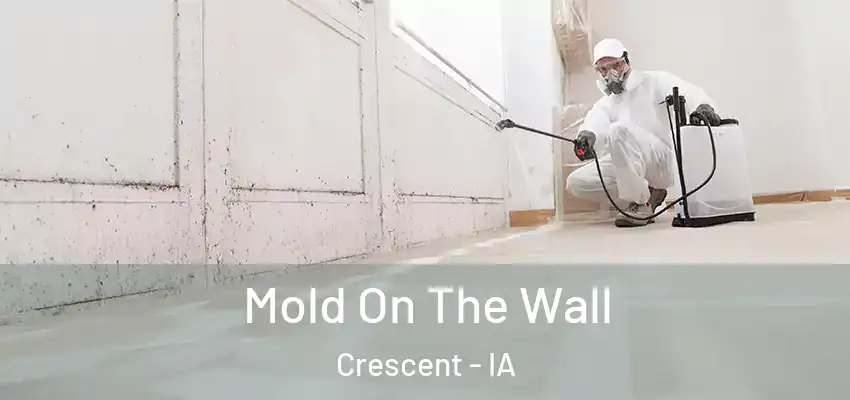 Mold On The Wall Crescent - IA