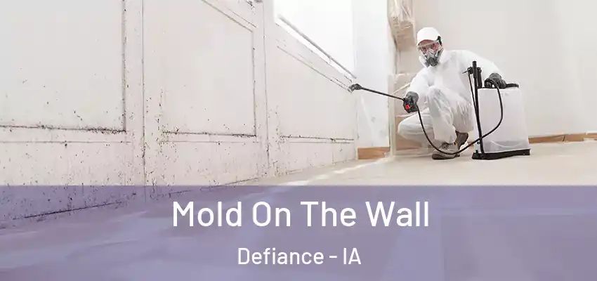 Mold On The Wall Defiance - IA