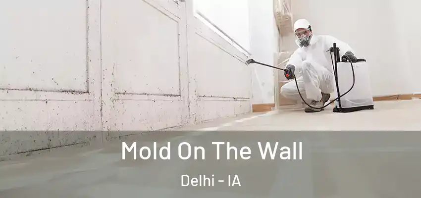  Mold On The Wall Delhi - IA