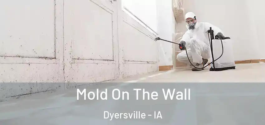 Mold On The Wall Dyersville - IA