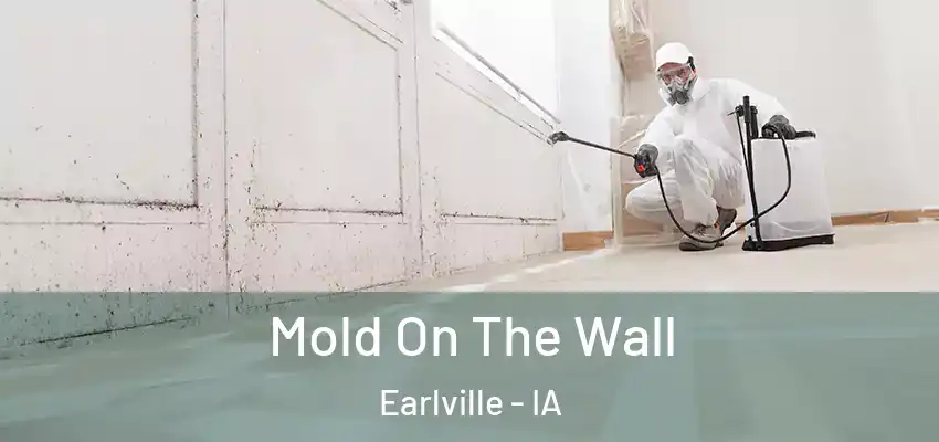 Mold On The Wall Earlville - IA