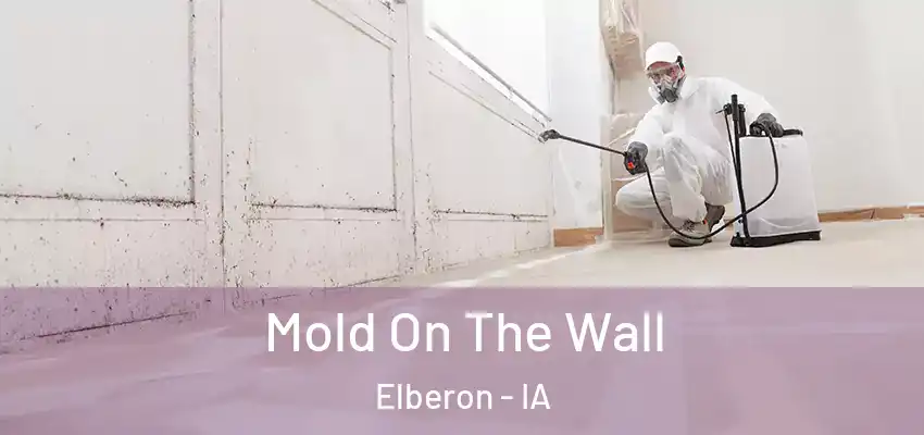 Mold On The Wall Elberon - IA