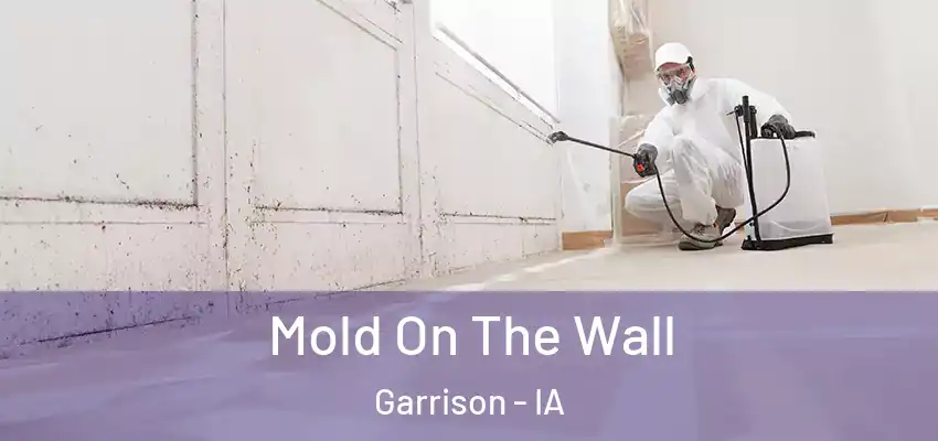 Mold On The Wall Garrison - IA