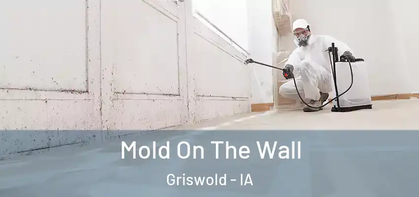 Mold On The Wall Griswold - IA