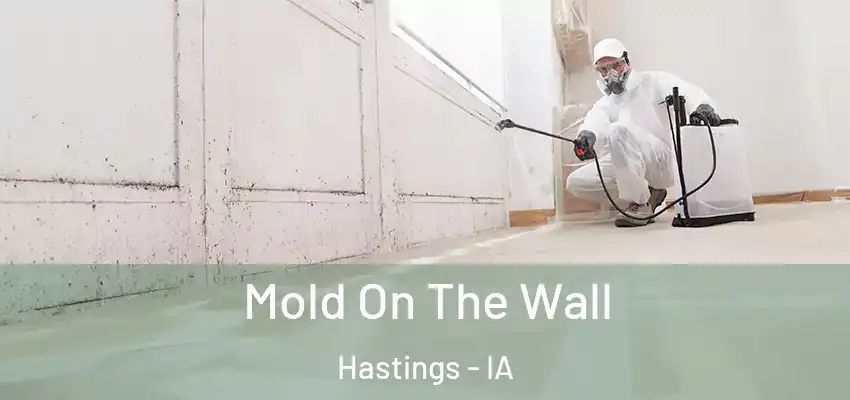 Mold On The Wall Hastings - IA