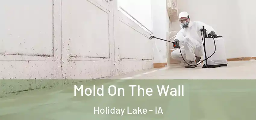  Mold On The Wall Holiday Lake - IA